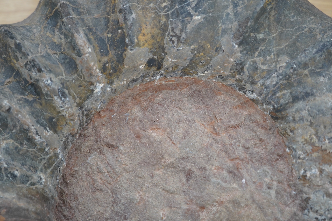 A large ammonite fossil, 40cm wide. Condition - good for age